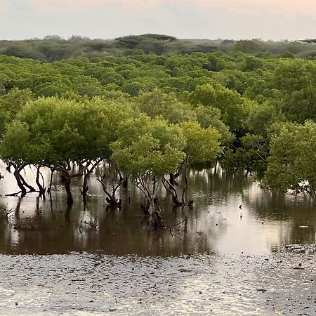 Mangrove House Otel Lamu Dış mekan fotoğraf