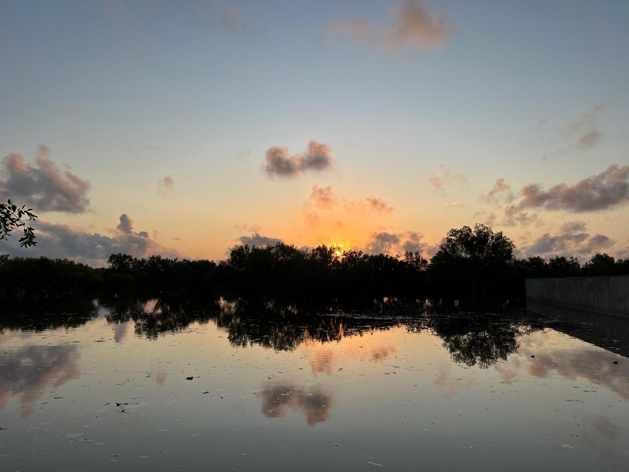 Mangrove House Otel Lamu Dış mekan fotoğraf